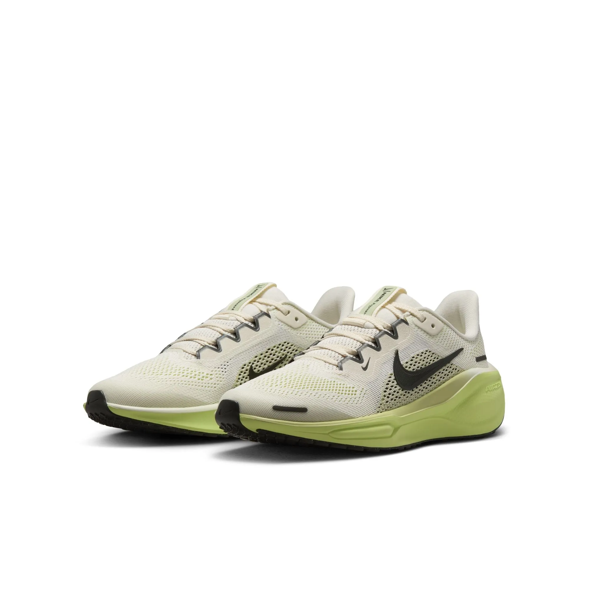Boy's Nike Youth Pegasus 41